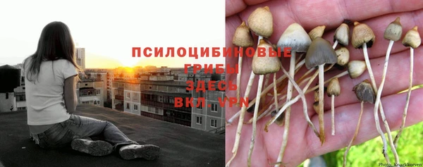 соль курить ск Армянск
