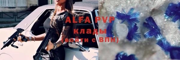 spice Арсеньев
