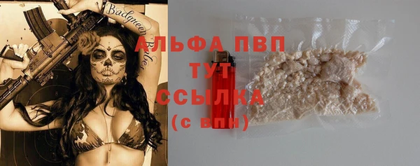 spice Аркадак