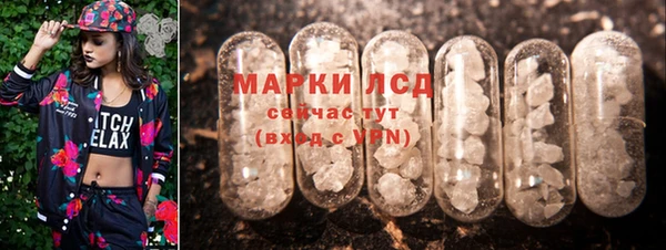 spice Аркадак