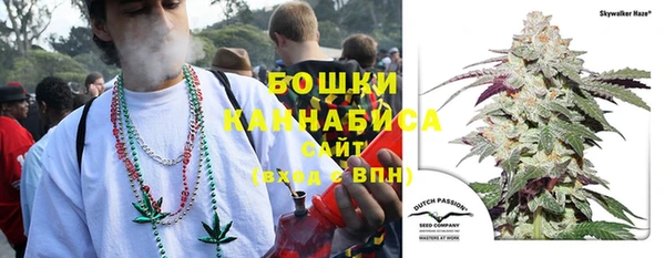 spice Аркадак