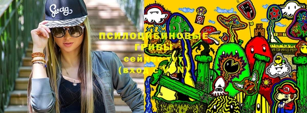 spice Арсеньев