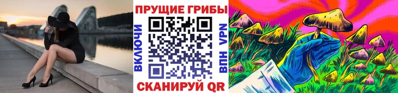 Галлюциногенные грибы Psilocybe  Мамадыш 