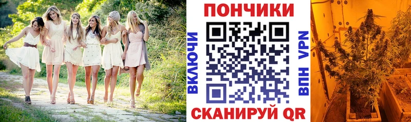 Бошки Шишки VHQ  купить наркотик  Мамадыш 